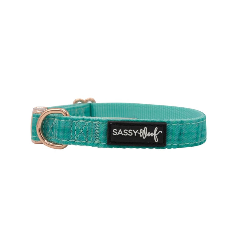 Wag Your Teal' Dog Collar