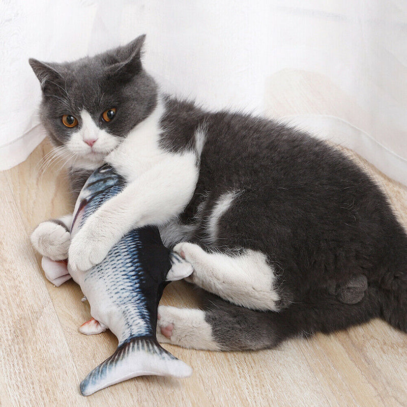 Dancing Fish Catnip Kicker Toy