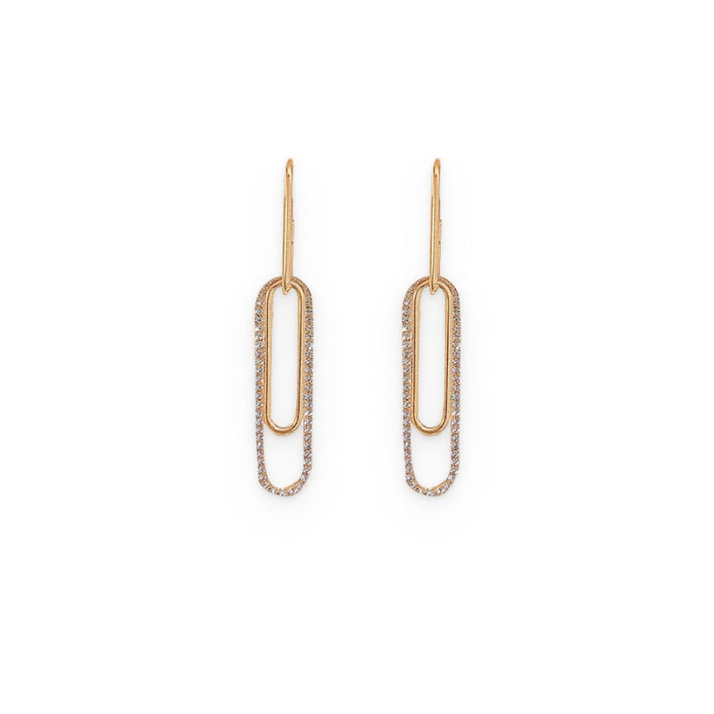 Oblong Shiny Earrings