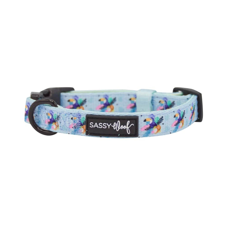 Tropicana' Dog Collar