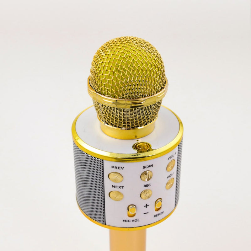 Wireless Karaoke Microphone