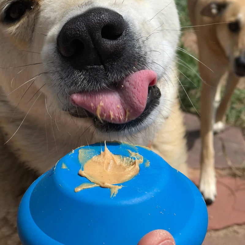 Flying Saucer - Chew Toy & Treat Dispenser