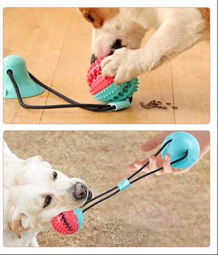 Tug-of-Floor Dog Toy