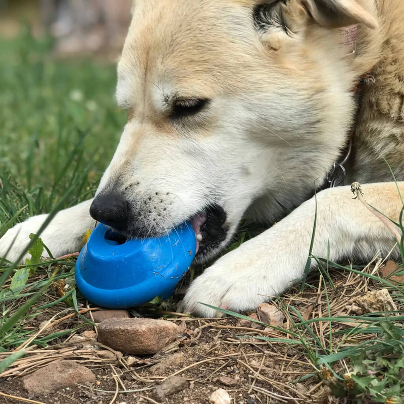 Flying Saucer - Chew Toy & Treat Dispenser