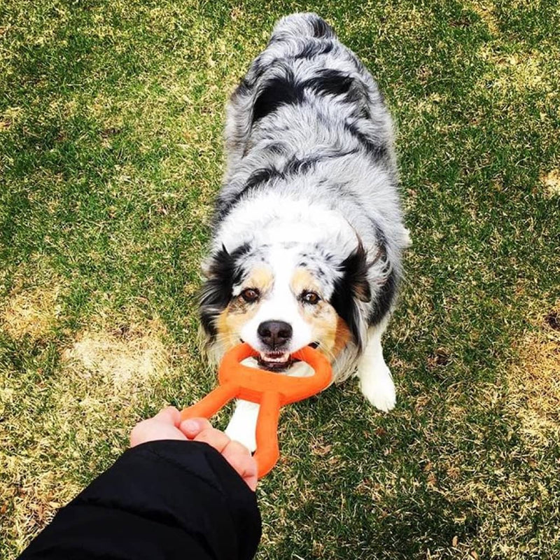 Tug O' War Toy